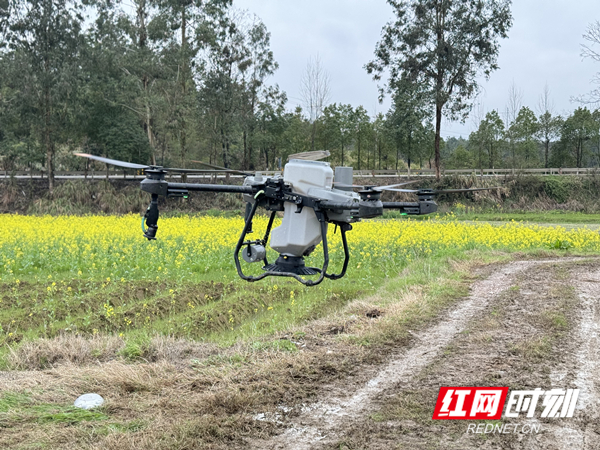 微信图片_20240316113051_副本.jpg